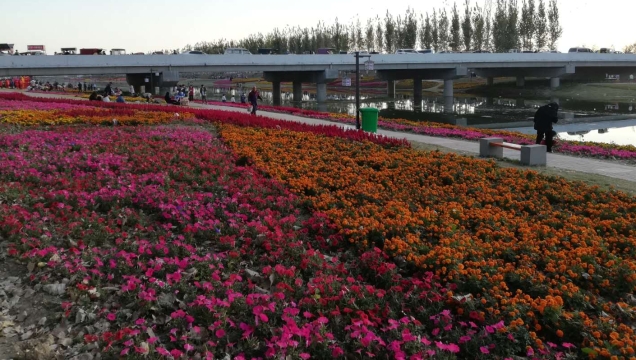 創意農業醉游人