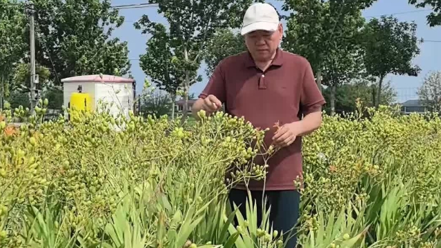 “大校農民”劉金良：“戎”歸故里反哺桑梓助振興